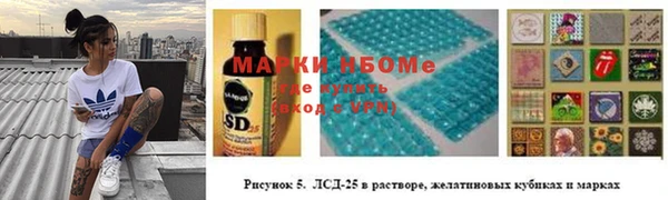 гидра Верхний Тагил