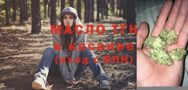 гидра Верхний Тагил