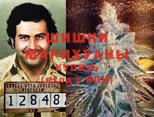 гидра Верхний Тагил