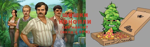 индика Бугульма